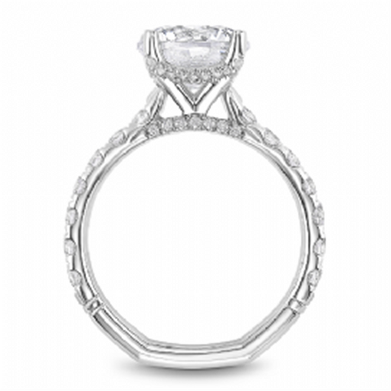 Noam Carver Hidden Halo Diamond Engagement Ring Setting in 14k White Gold