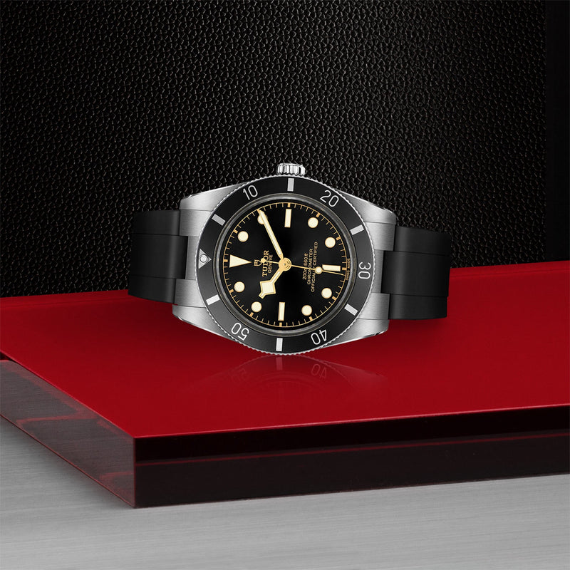 TUDOR Black Bay 54