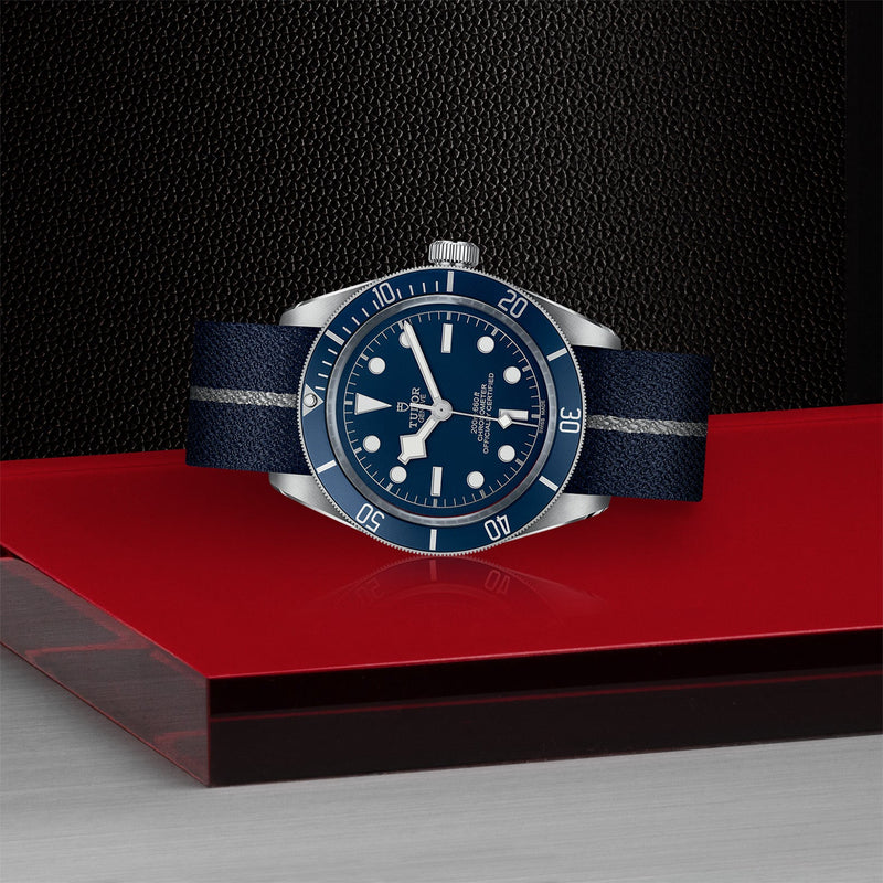 TUDOR Black Bay 58