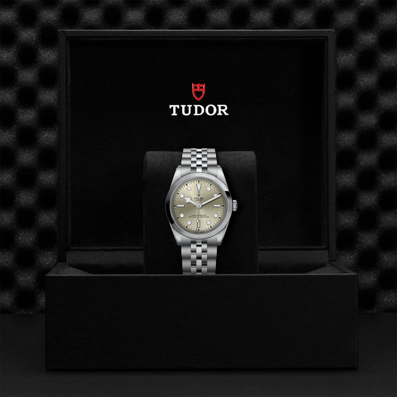 TUDOR Black Bay 36