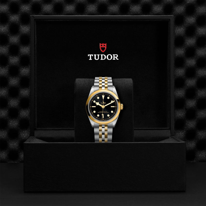 TUDOR Black Bay 36 S&G