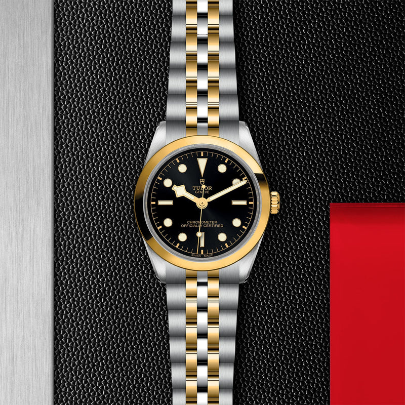 TUDOR Black Bay 36 S&G