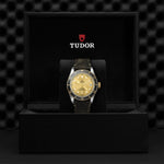 TUDOR Black Bay S&G