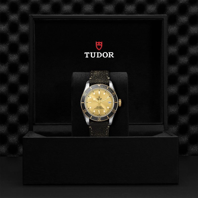 TUDOR Black Bay S&G