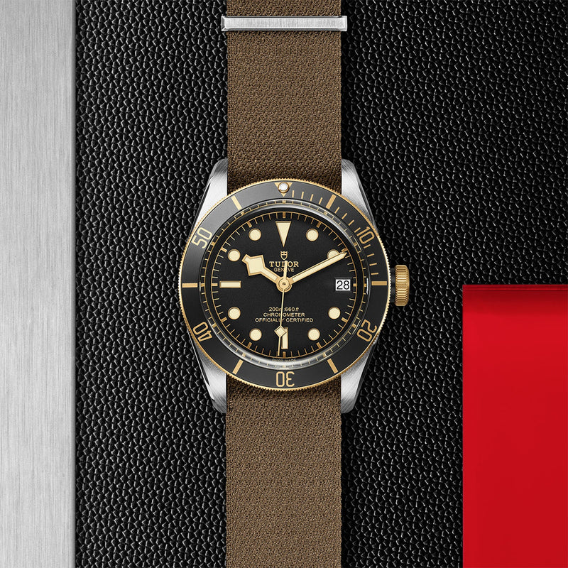 TUDOR Black Bay S&G