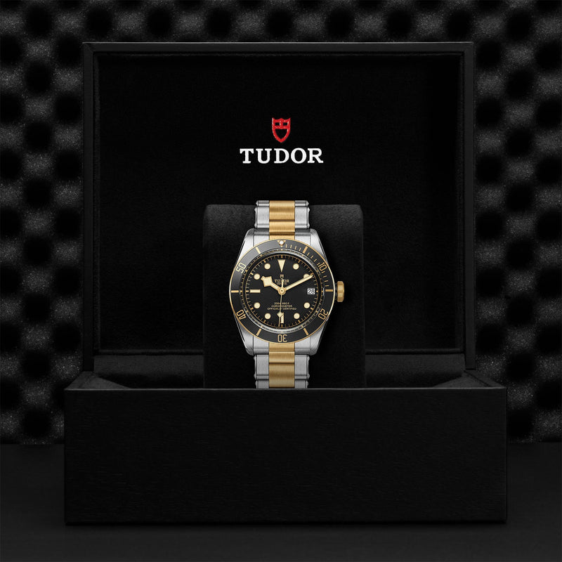 TUDOR Black Bay S&G