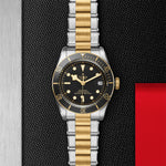 TUDOR Black Bay S&G