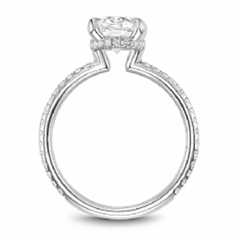 Noam Carver Hidden Halo Diamond Engagement Ring Setting in 14k White Gold