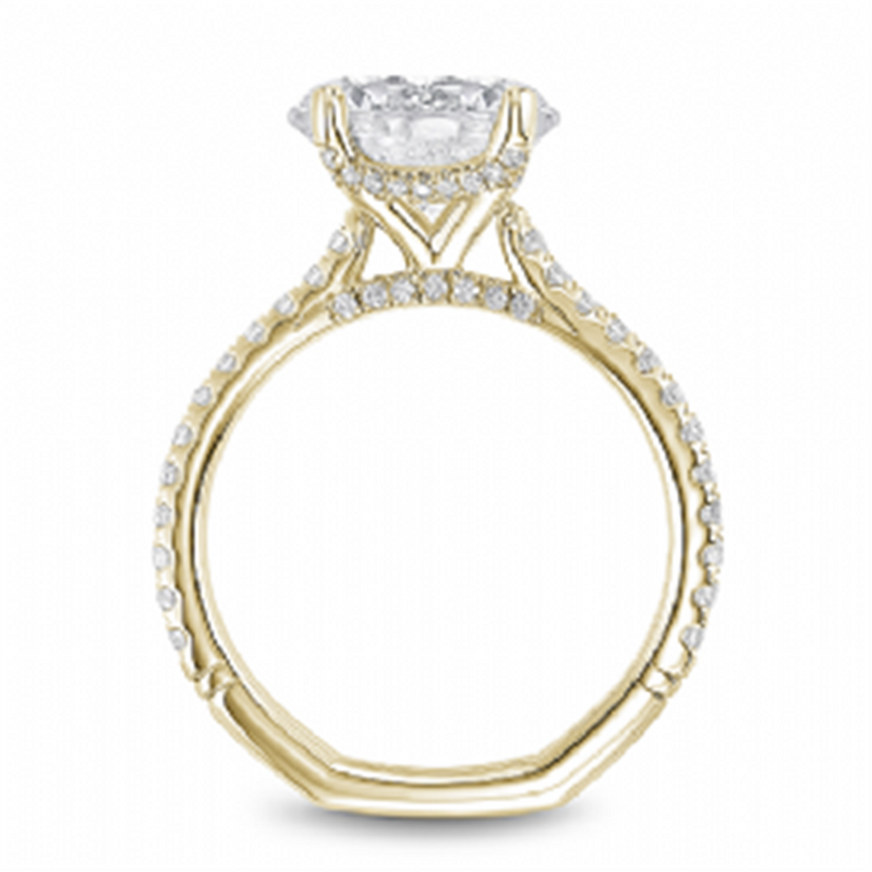 Noam Carver Hidden Halo Diamond Engagement Ring Setting in 14k Yellow Gold