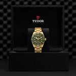 TUDOR Black Bay 58 18K